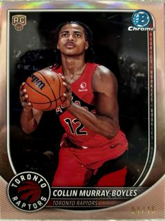 Collin Murray-Boyles