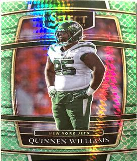 Quinnen Williams