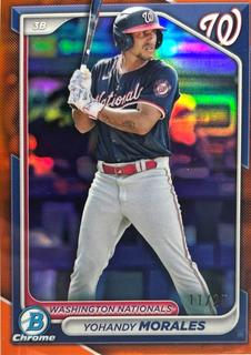 Yohandy Morales
