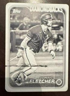Dominic Fletcher