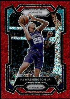 PJ Washington Jr.