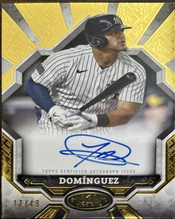 Jasson Dominguez