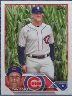 Yan Gomes