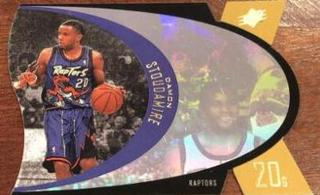 Damon Stoudamire