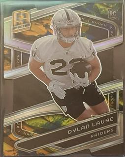 Dylan Laube