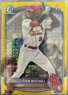 Ryan Mitchell
