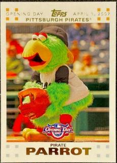 Pirate Parrot