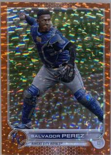 Salvador Perez
