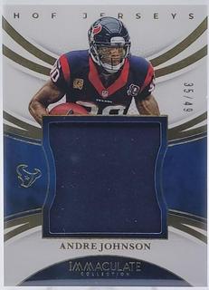 Andre Johnson