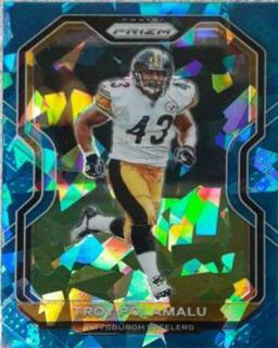 Troy Polamalu