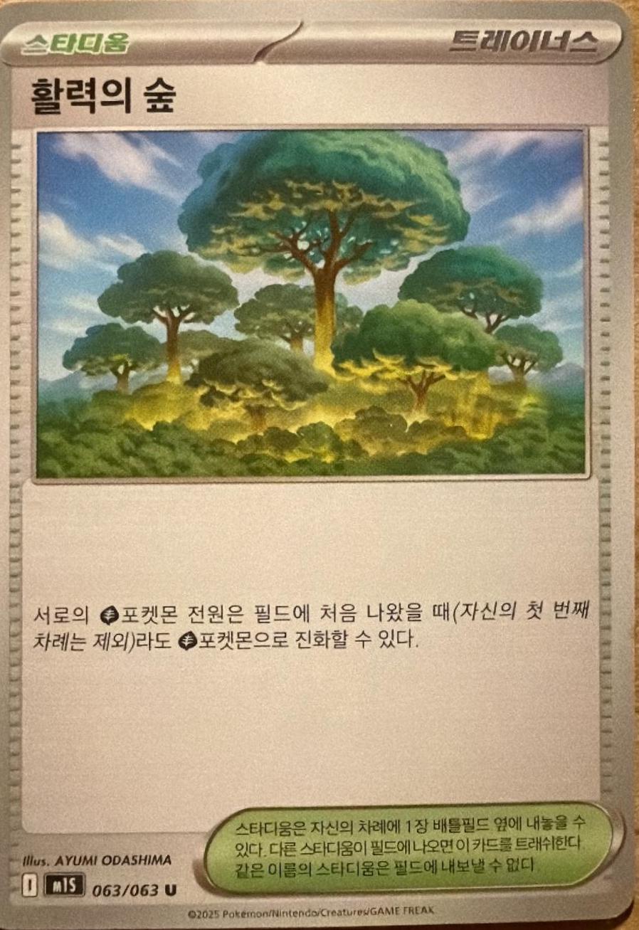 Mystery Garden #63 Pokémon Card from Pokemon Korean Mega Symphonia Set 