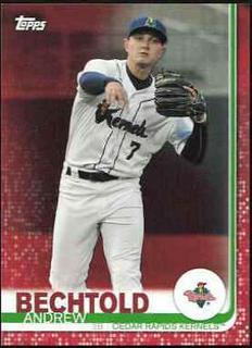 Andrew Bechtold