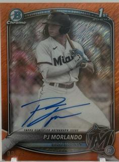 PJ Morlando