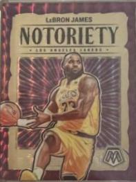 LeBron James