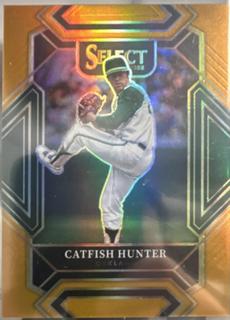 Catfish Hunter