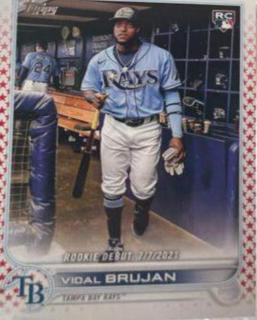 Vidal Brujan