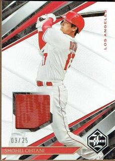 Shohei Ohtani
