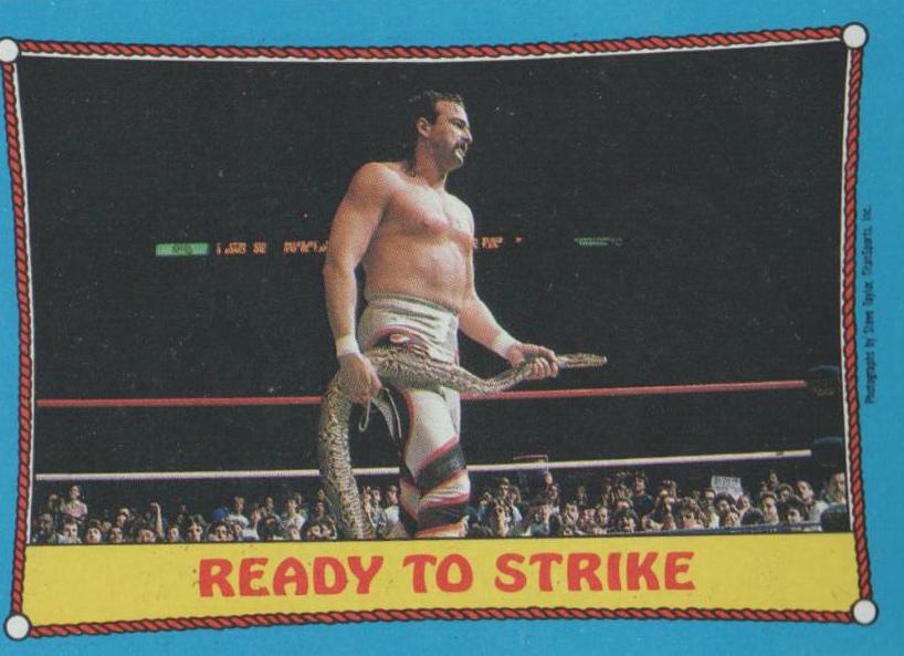 Ready to Strike #24 Wrestling Cards 1987 Topps WWF