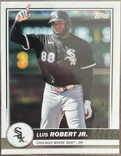 Luis Robert