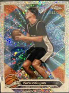 Zach Collins