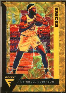 Mitchell Robinson