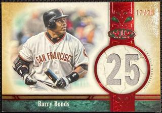 Barry Bonds