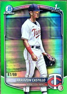 Haritzon Castillo