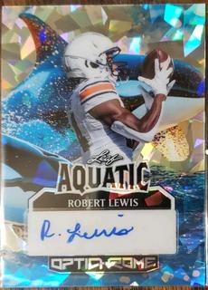 Robert Lewis