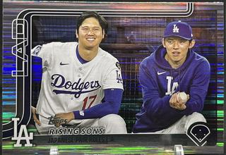 Shohei Ohtani / Roki Sasaki