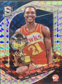 Dominique Wilkins