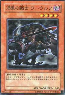 Pitch-Black Warwolf RDS-JP026