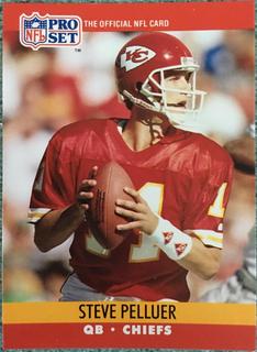 Steve Pelluer