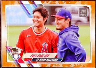 Shohei Ohtani / Kohei Arihara