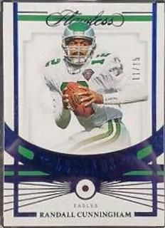 Randall Cunningham