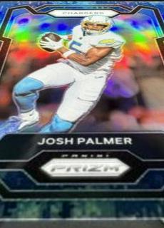 Josh Palmer