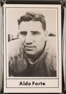 Aldo Forte