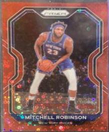 Mitchell Robinson