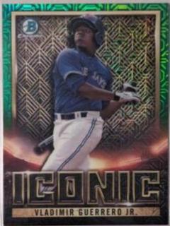 Vladimir Guerrero Jr.