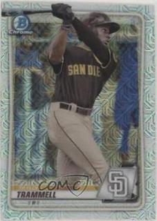 Taylor Trammell