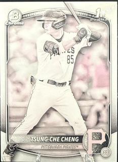 Tsung-Che Cheng