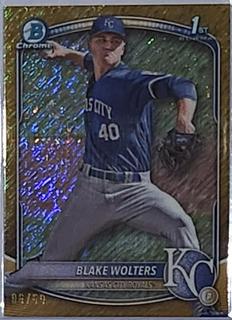 Blake Wolters