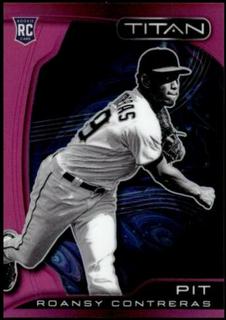 Roansy Contreras
