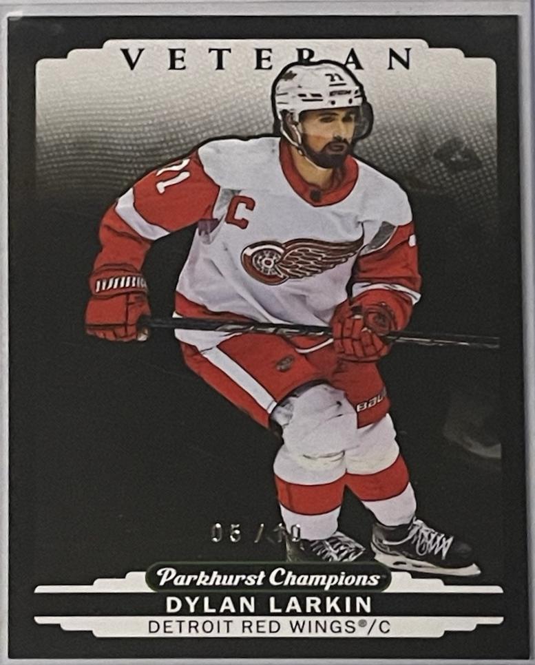 Dylan Larkin [Black] #73