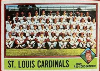 Cardinals Team