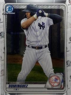 Jasson Dominguez