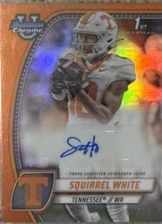 Squirrel White