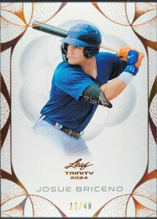 Josue Briceno