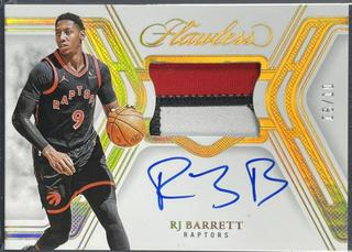 RJ Barrett