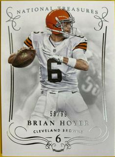 Brian Hoyer