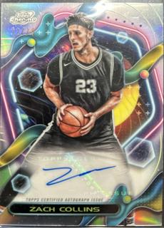Zach Collins